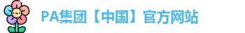 PA集团